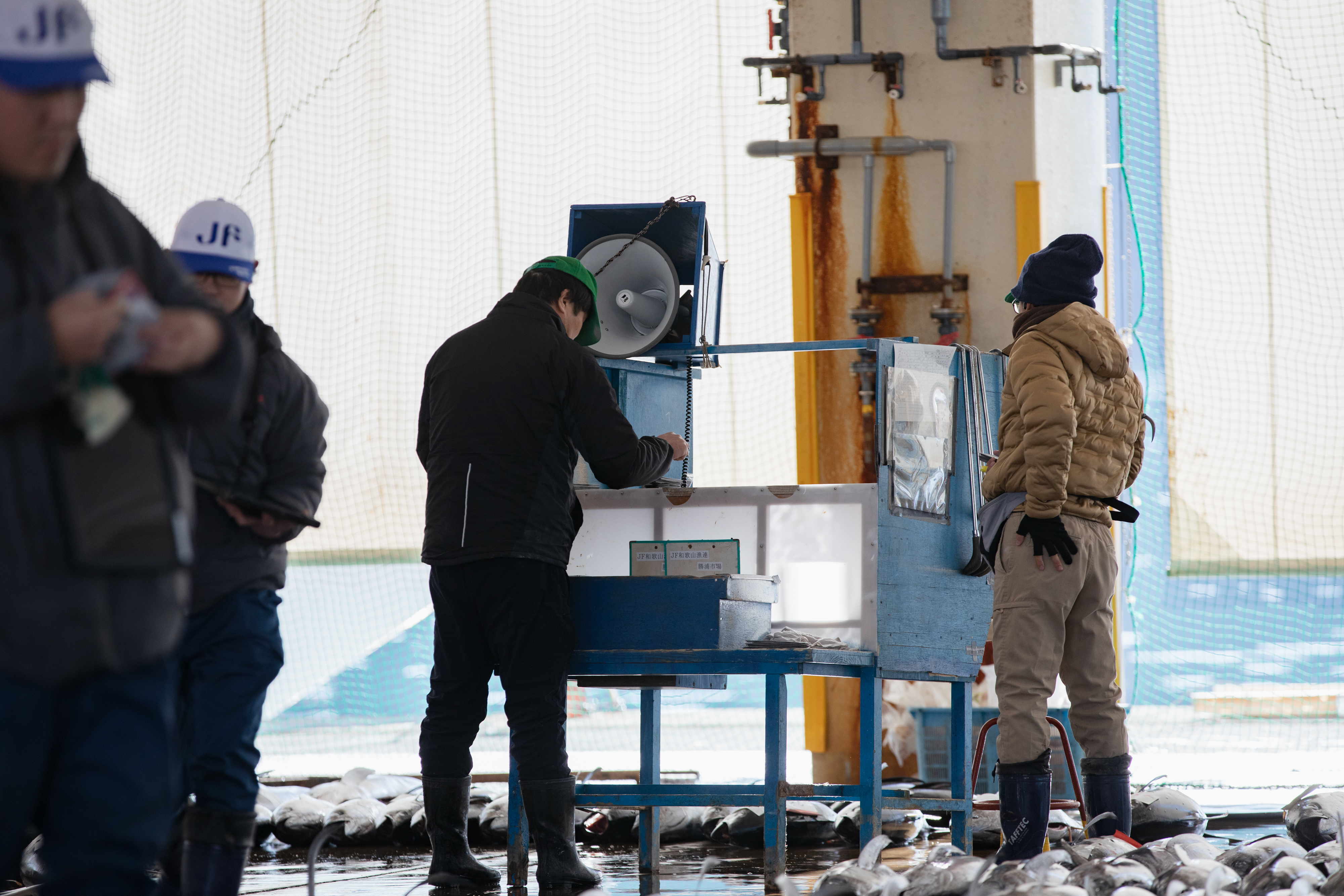 Auction stands with speakers where results are announced