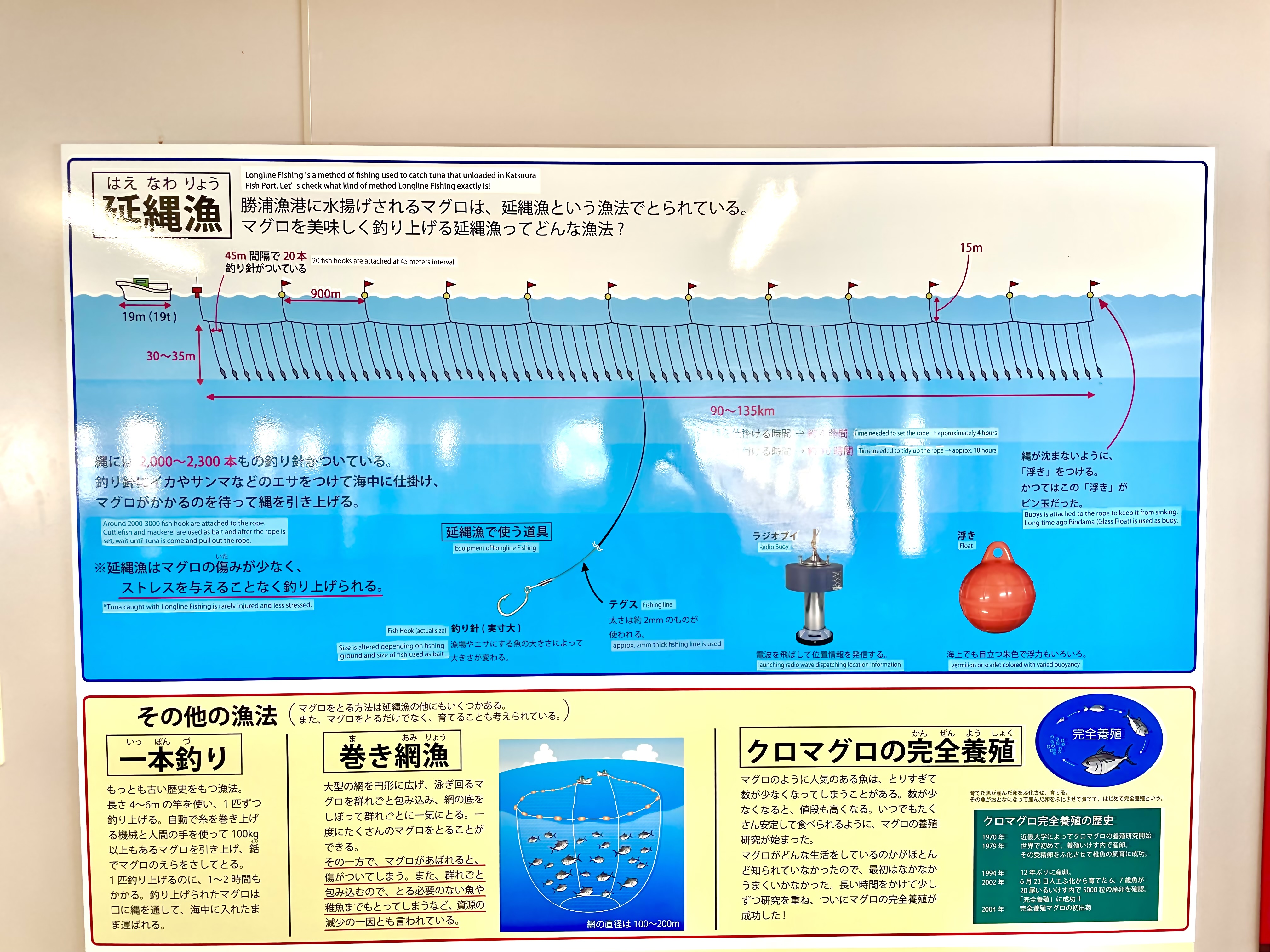 Illustration of longline fishing method