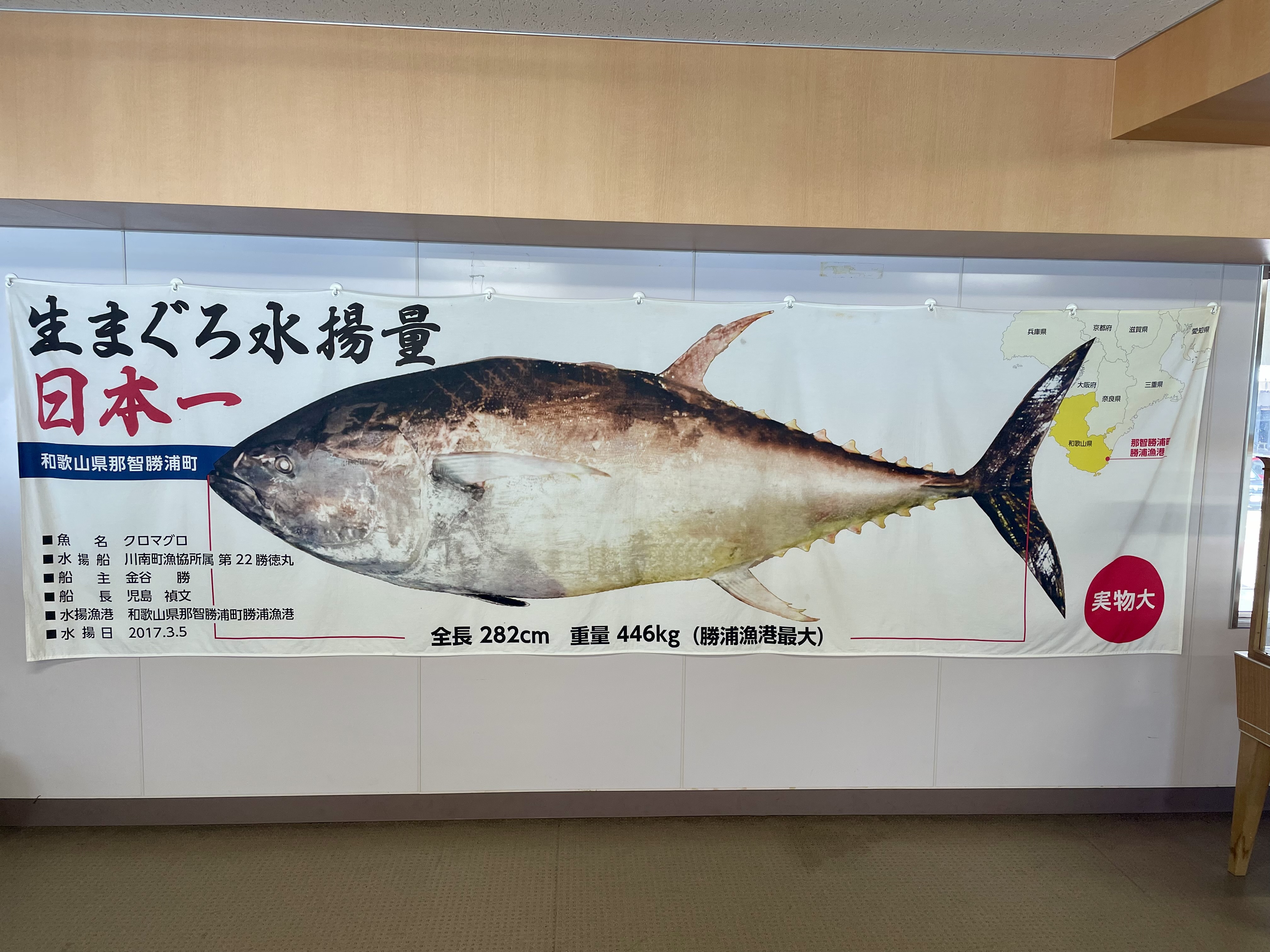 Giant banner showing the record-breaking bluefin tuna