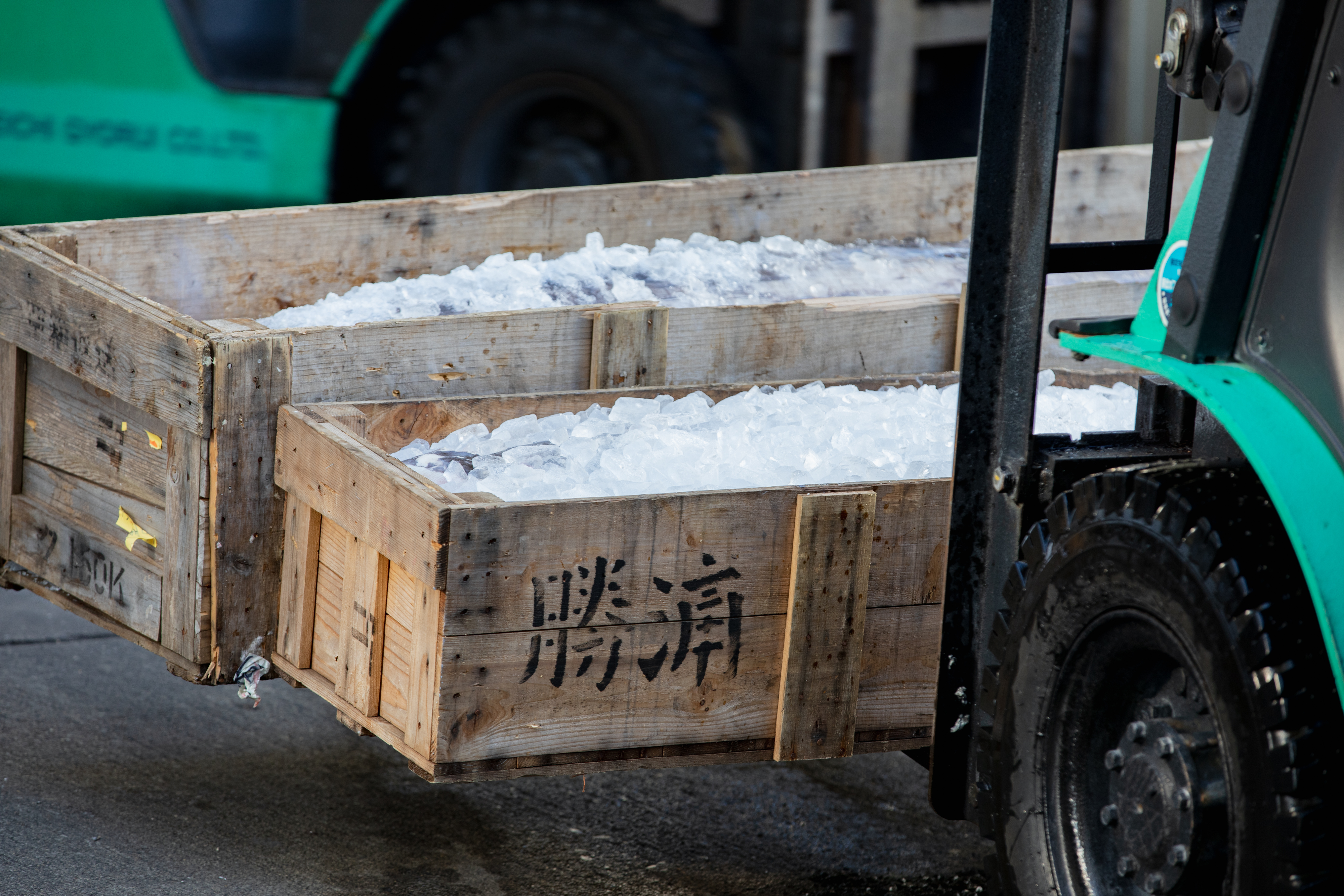 Wooden boxes used for packing tuna for shipment